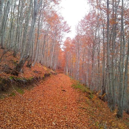 Apartamentos Turisticos Real Valle Ezcaray Zorraquín Dış mekan fotoğraf