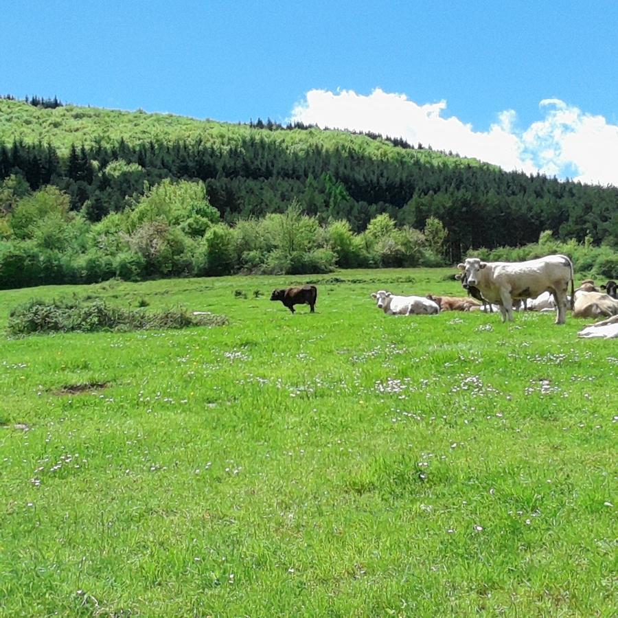 Apartamentos Turisticos Real Valle Ezcaray Zorraquín Dış mekan fotoğraf